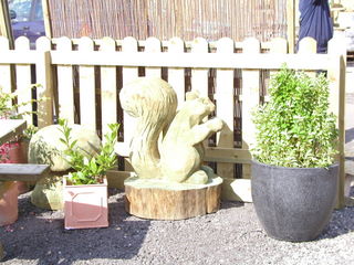 Untitled Page [www.oakbanknurseries.co.uk]
